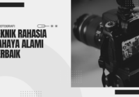 Teknik rahasia cahaya alami terbaik!